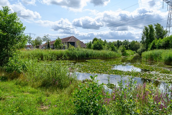 Medium property photo - De Flier 3811, 6605 ZS Wijchen